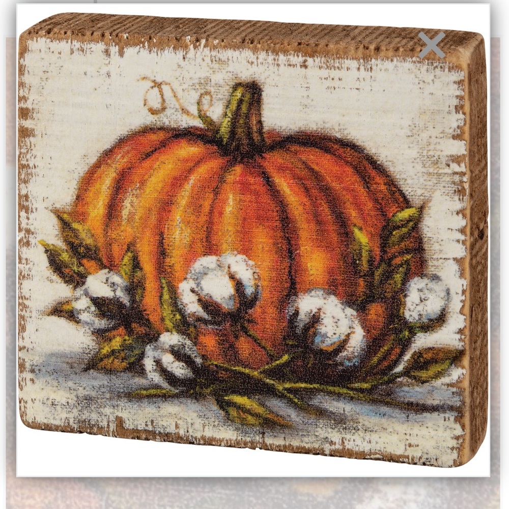Pumpkin with cotton